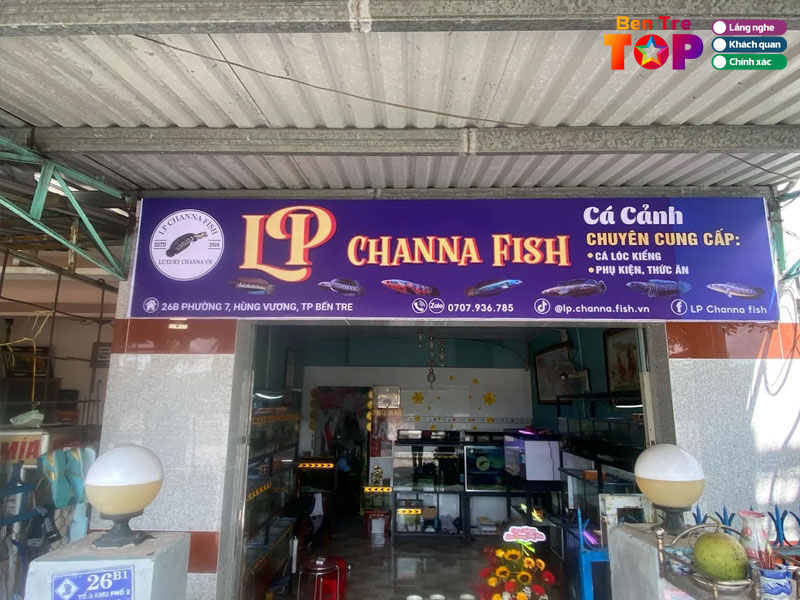 Lp-channa-fish-chuyen-phu-kien-va-ca-loc-canh-dep-bentretoplist